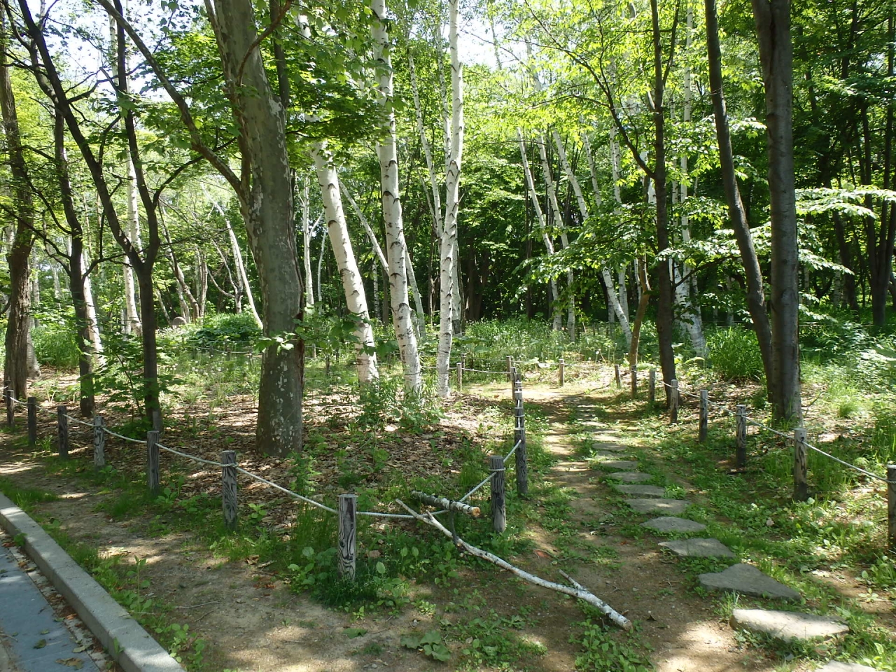 散策の森の写真