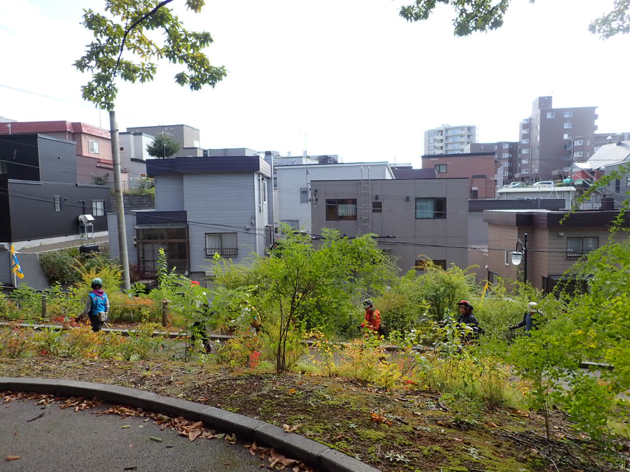 園内をウォーキング