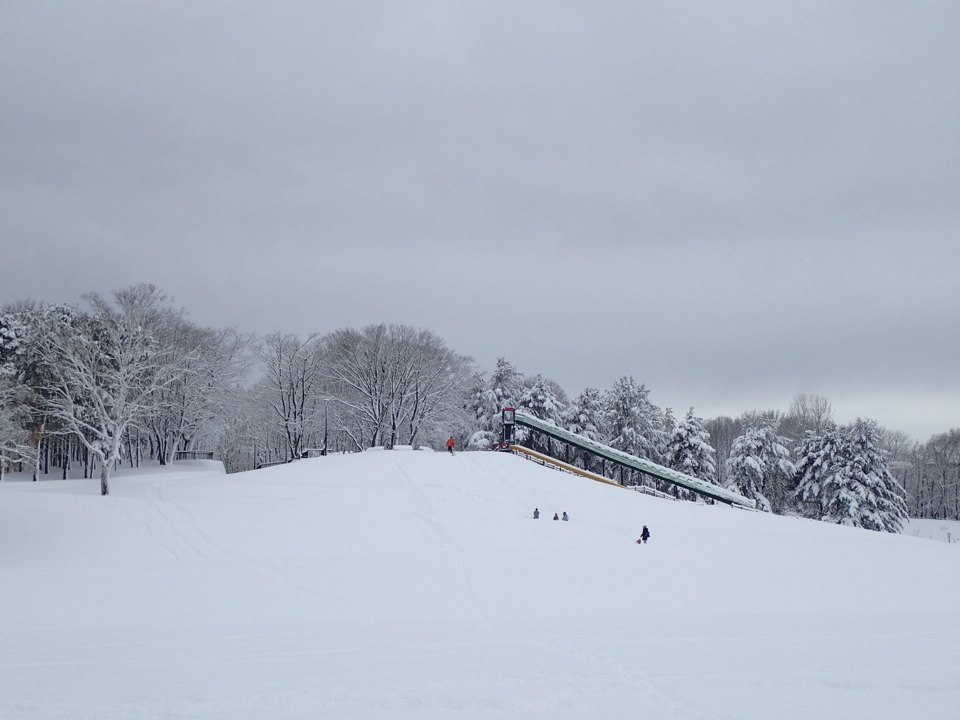 降雪後の月寒公園　１１月１９日