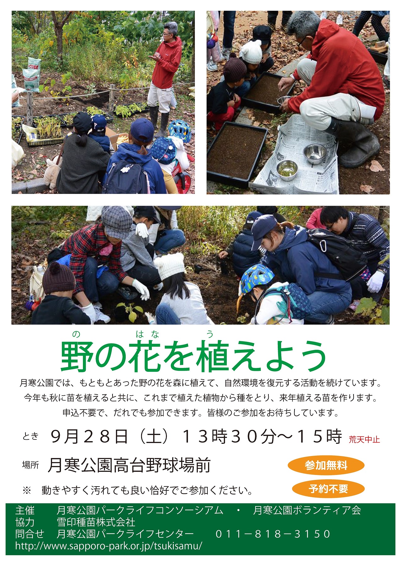 野の花チラシ