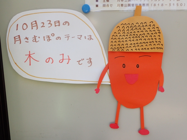 秋のテーマはs