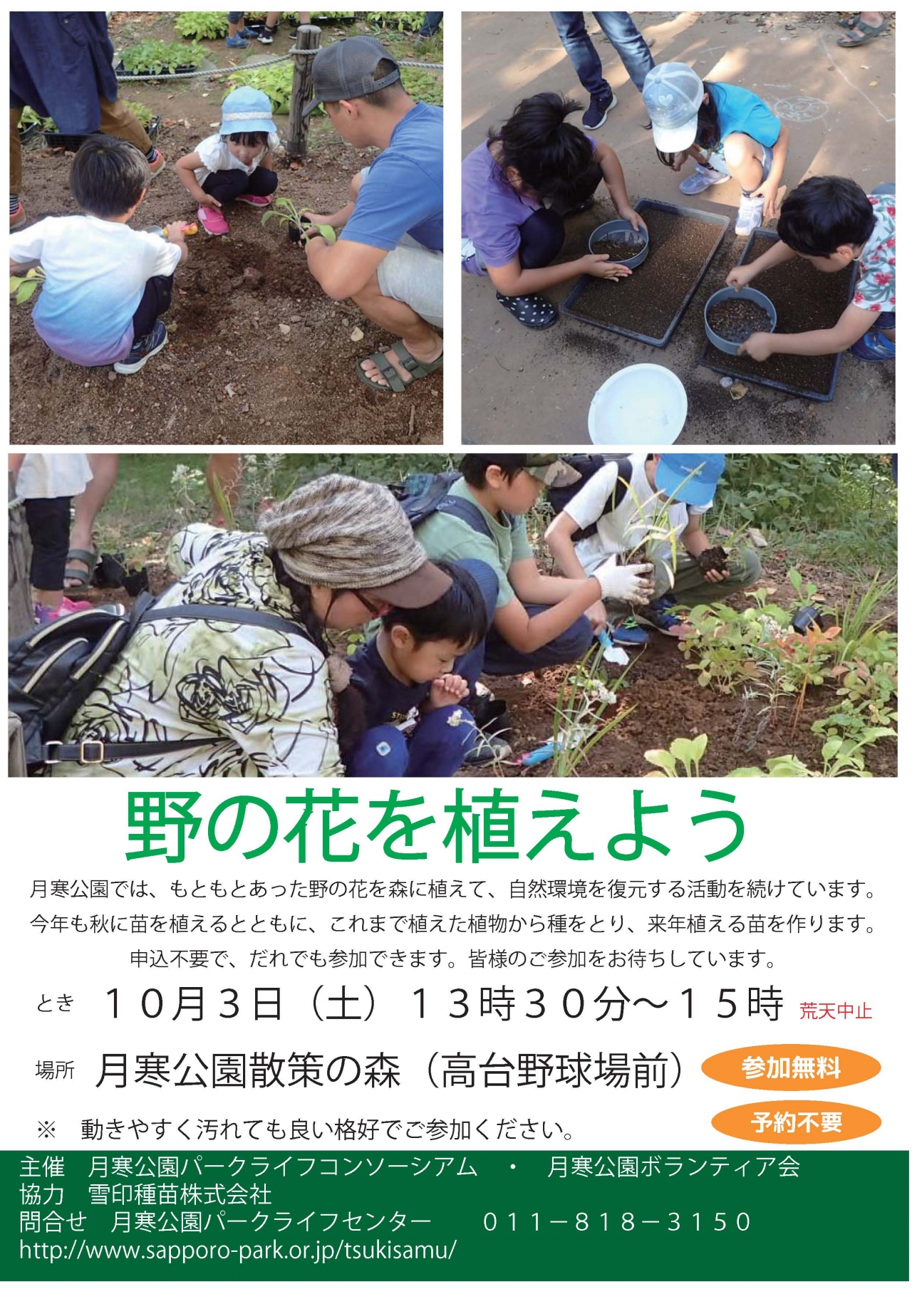 野の花チラシ