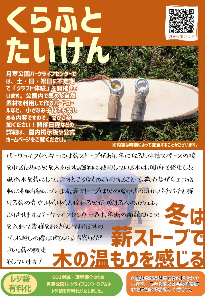 Vol.11(裏)