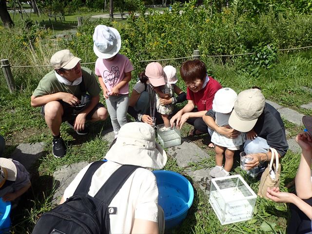 お魚観察_R