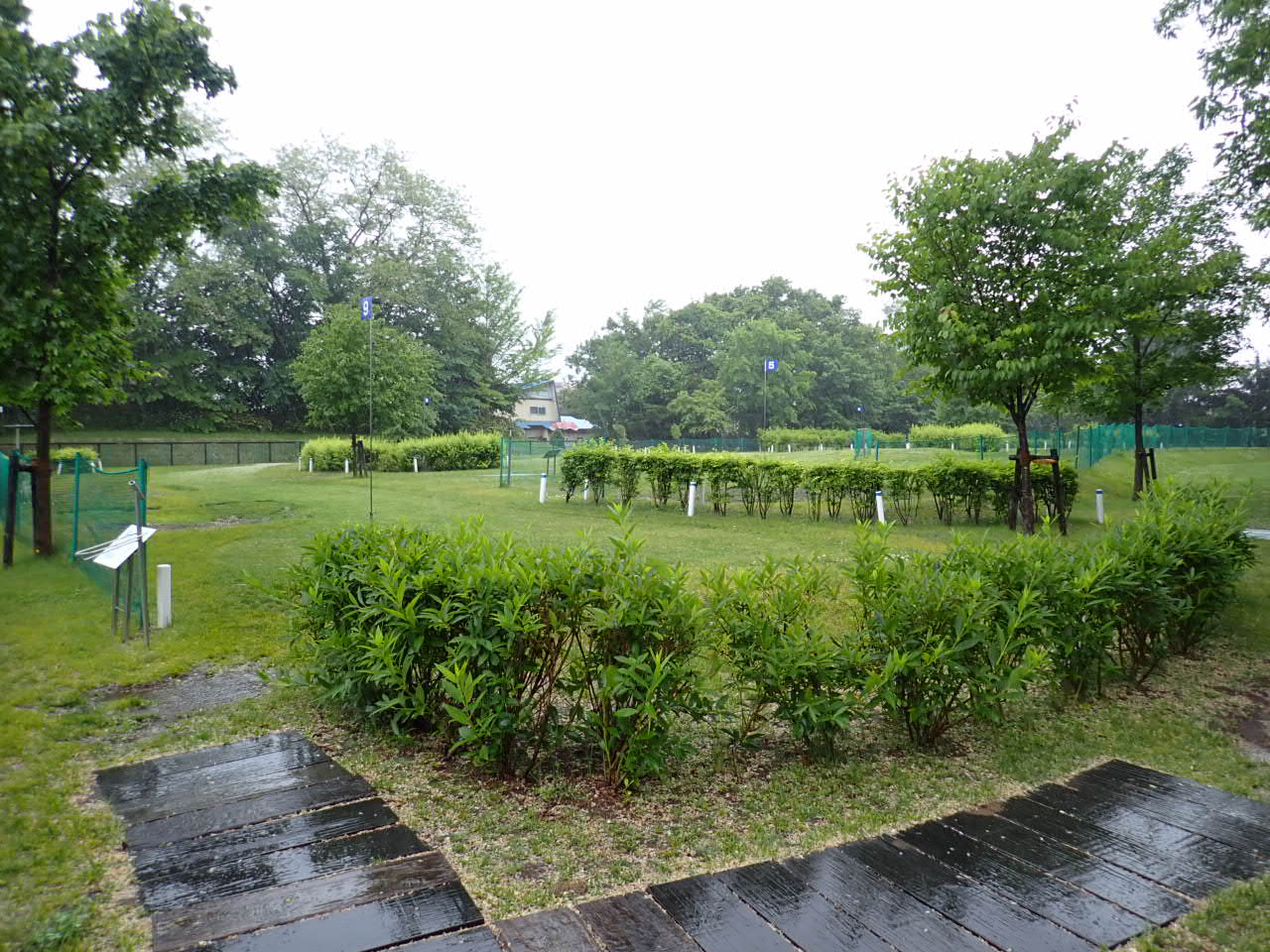 雨の日PG